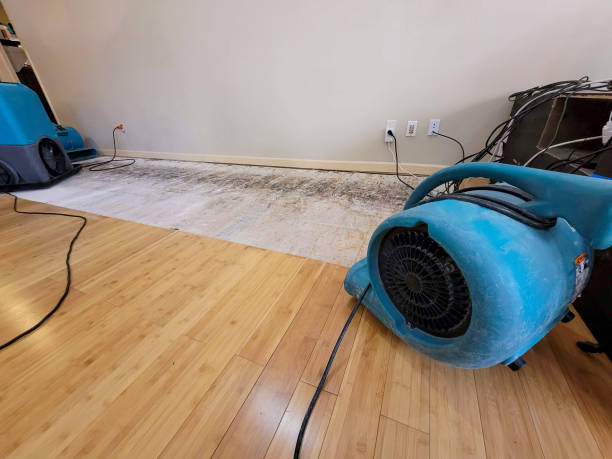 Professional Basement Flood Cleanup technician working in Willard, MO